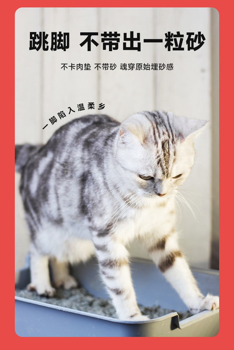 猫砂8.png
